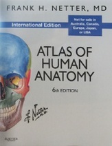Atlas of Human Anatomy (International Edition), 6e